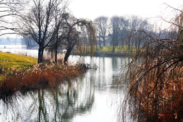 La Charmille Du Creteil